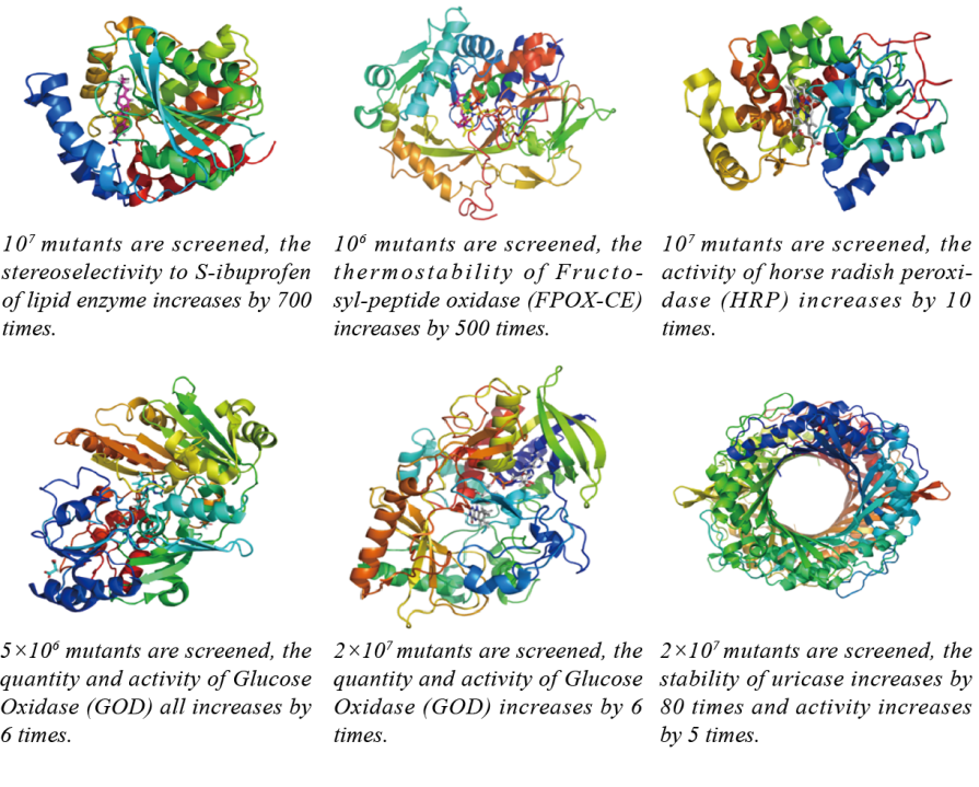 DREM cell-2