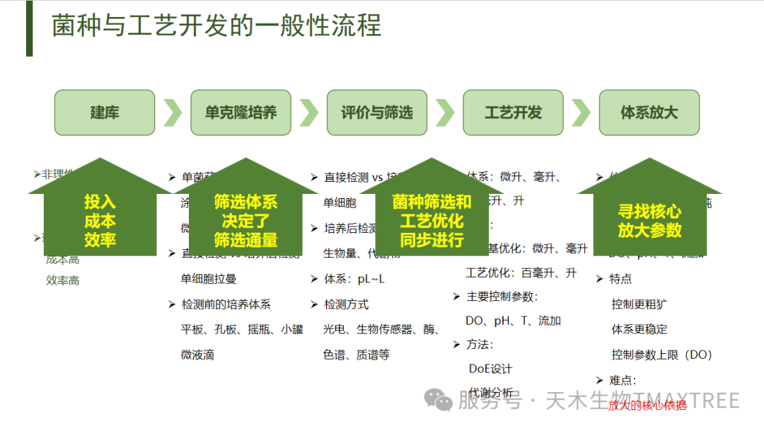 微信图片_20250522115801